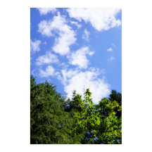 Wandkunst Ahornbäume Blauer Himmel Weiße Wolken Na