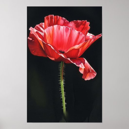 Wandkunst. Blume in der Schwärze Poster (Vorne)