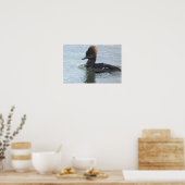 Wandposter mit Kappenente Poster (Küche)