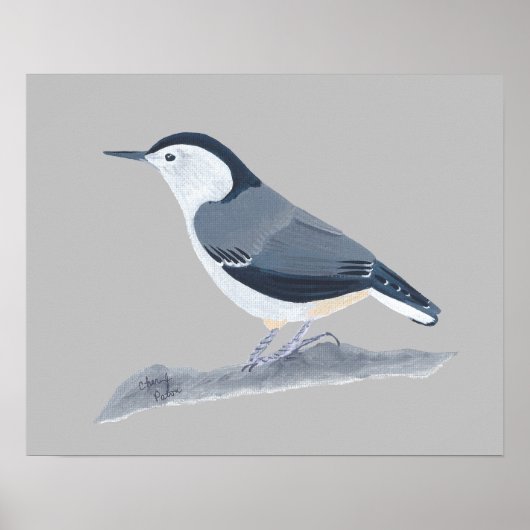 Wandposter mit Kleiber-Vogel-Malerei Poster (Vorne)