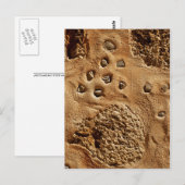 Wandpostkarte Postkarte (Vorne/Hinten)