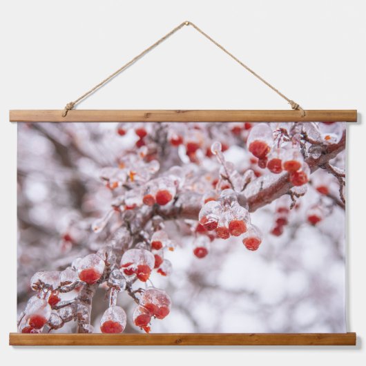 Wandteppiche (Vorne)