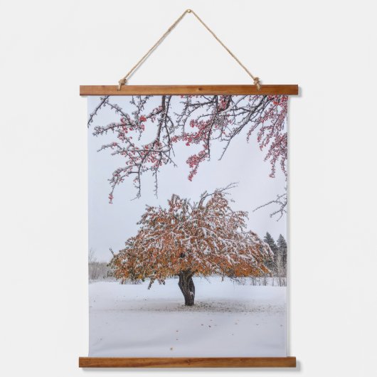 Wandteppiche (Vorderseite)