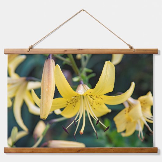 Wandteppiche (Vorne)