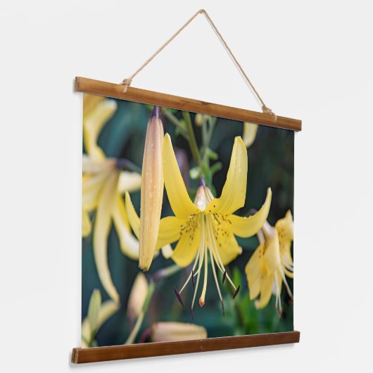 Wandteppiche (Gewinkelt)