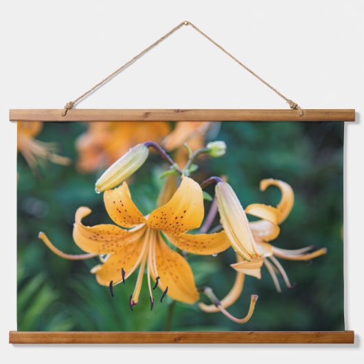 Wandteppiche (Vorne)