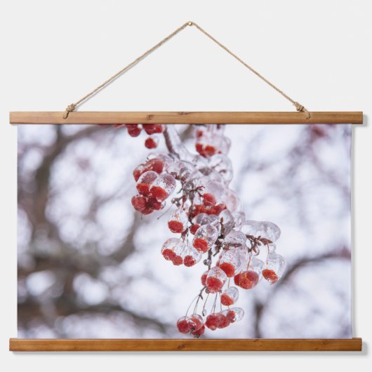 Wandteppiche (Vorne)