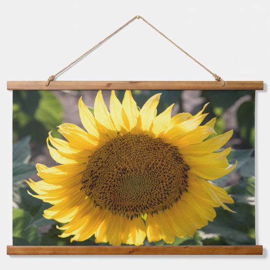 Wandteppiche (Vorne)