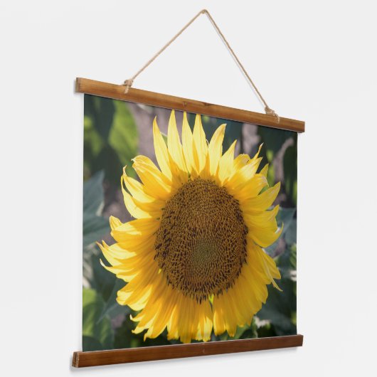 Wandteppiche (Gewinkelt)