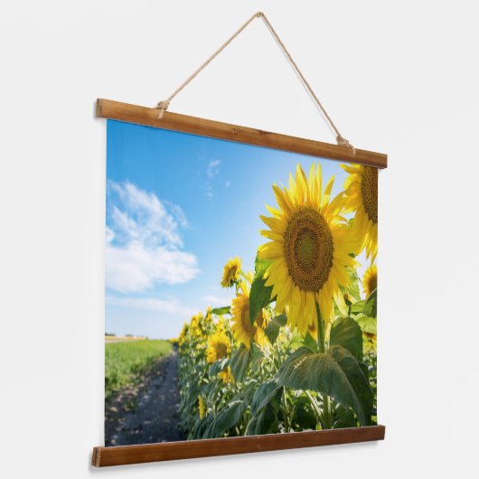 Wandteppiche (Gewinkelt)