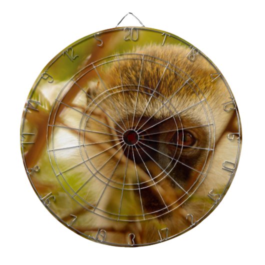 Wangenaffen Dartscheibe (vorne)