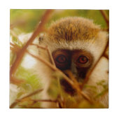 Wangenaffen Fliese (Vorderseite)