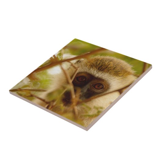 Wangenaffen Fliese (Seite)