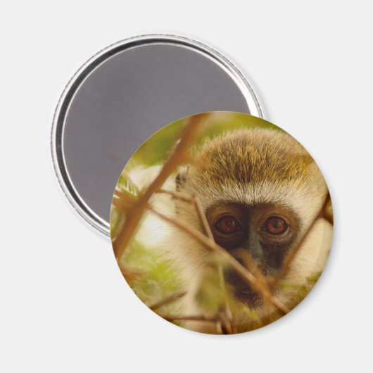 Wangenaffen Magnet (Vorderseite/Rückseite)