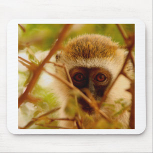 Wangenaffen Mousepad