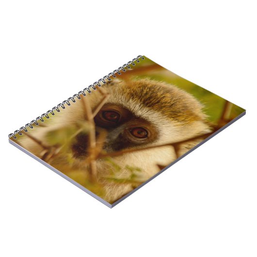 Wangenaffen Notizblock (Linke Seite)