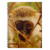 Wangenaffen Notizblock (Vorderseite)