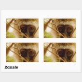 Wangenaffen Rechteckiger Aufkleber (Blatt)