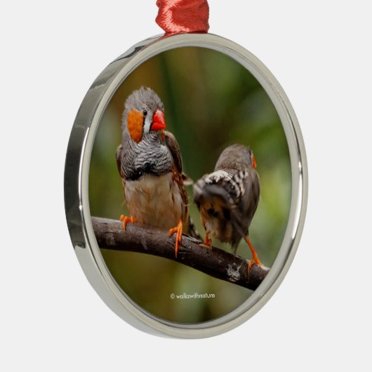 Wangenparadies Zebra Finch Songbirds Ornament Aus Metall (Rechts)