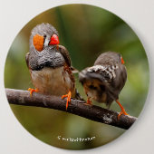 Wangenparadies Zebra Finches Songbirds Button (Vorderseite)