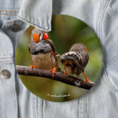 Wangenparadies Zebra Finches Songbirds Button (Beispiel)