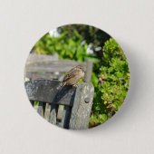 Wangenspinne Button (Vorderseite)