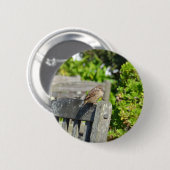 Wangenspinne Button (Vorne & Hinten)