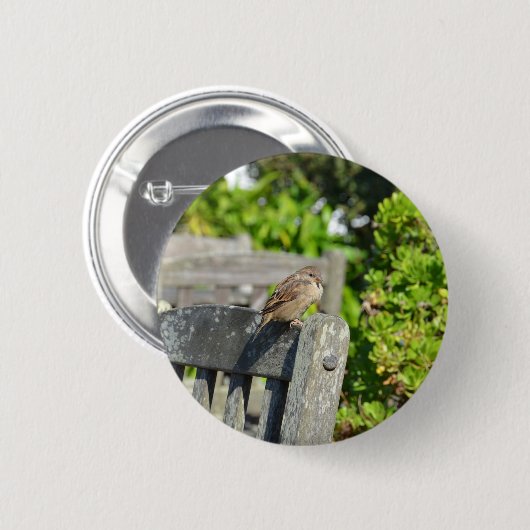 Wangenspinne Button (Vorne & Hinten)