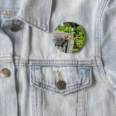 Wangenspinne Button (Beispiel)