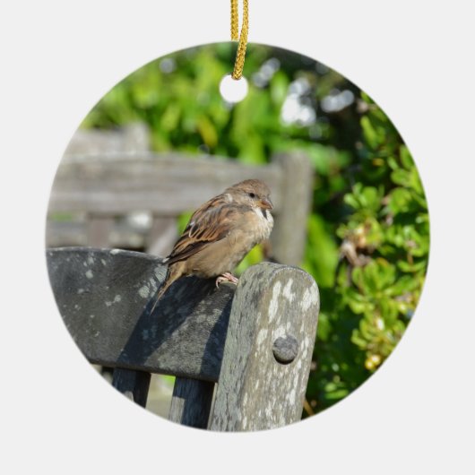 Wangenspinne Keramikornament (Vorne)