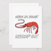 Wann geht Shrimps aus Ankündigung (Vorne/Hinten)