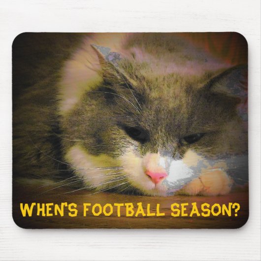 Wann ist die Fußballsaison? Sad Kitty Mousepad (Vorne)