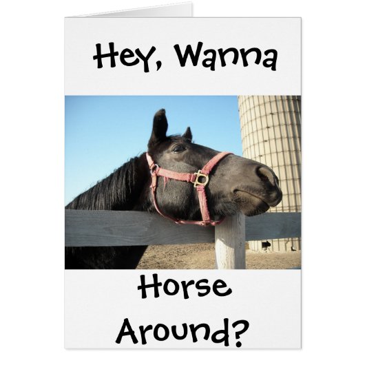 Wanna Horround (Vorne)