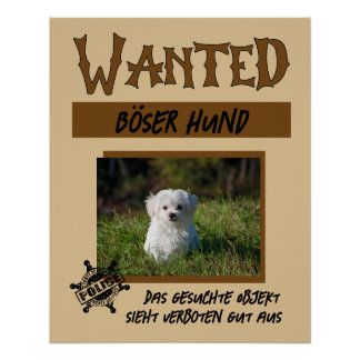 Wanted 1, personalisierbares Poster