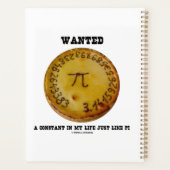 Wanted A Constant In My Life Just Like Pi Planer (Rückseite)