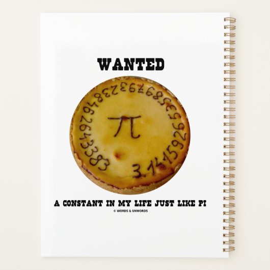 Wanted A Constant In My Life Just Like Pi Planer (Rückseite)