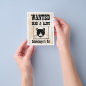 Wanted Schrödingers Katze Flyer (Gruppe)