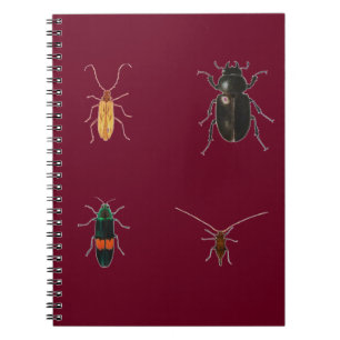 Wanzen 2011 notizblock