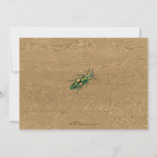 Wanzen-Jagd-Insekten-Party Einladung (Rückseite)