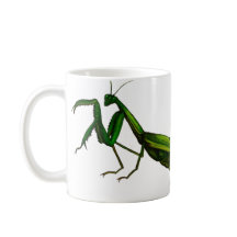 Wanzen-Tasse, betender Mantis-Grün