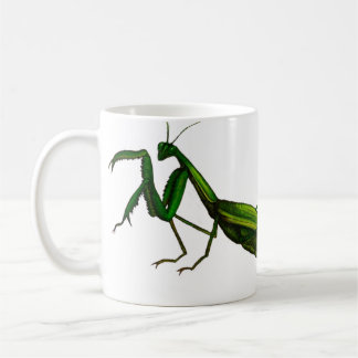Wanzen-Tasse, betender Mantis-Grün Kaffeetasse