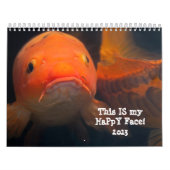 Wanzen und anderer Wierdness 2013 Kalender (Titelbild)