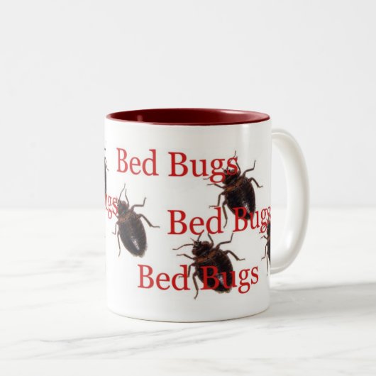 Wanzen Zweifarbige Tasse (VorderseiteRechts)