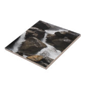 Wapama Falls Fliese (Seite)