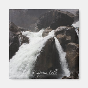 Wapama fällt Magnet