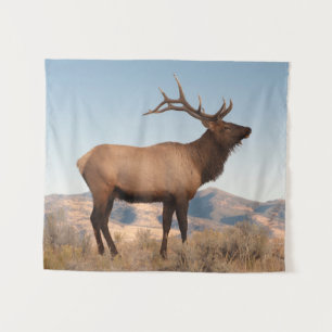 Wapiti-Bulle bei Mammoth   Wyoming Wandteppich