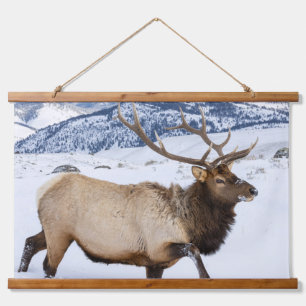 Wapiti-Bulle   Wyoming Wandteppich Mit Holzrahmen