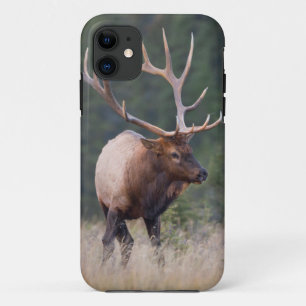 Wapiti Case-Mate iPhone Hülle