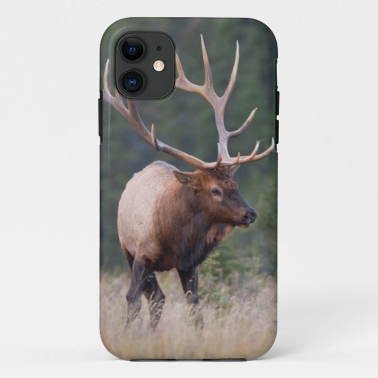 Wapiti Case-Mate iPhone Hülle (Rückseite)