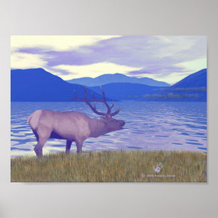Wapiti (Elk) am See Poster